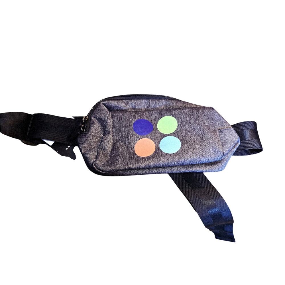 Projekt NWT waist case fanny pack